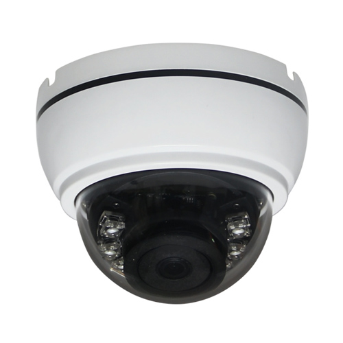 دوربین مداربسته AHD سانی Sany CCTV Camera SD-PNG21SF